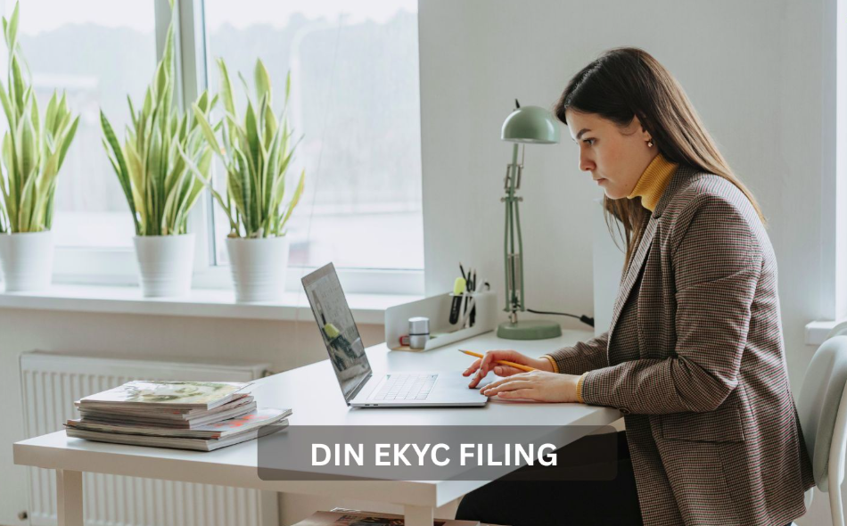 Director DIN eKYC Update